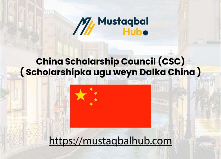 China Scholarship Council (CSC)