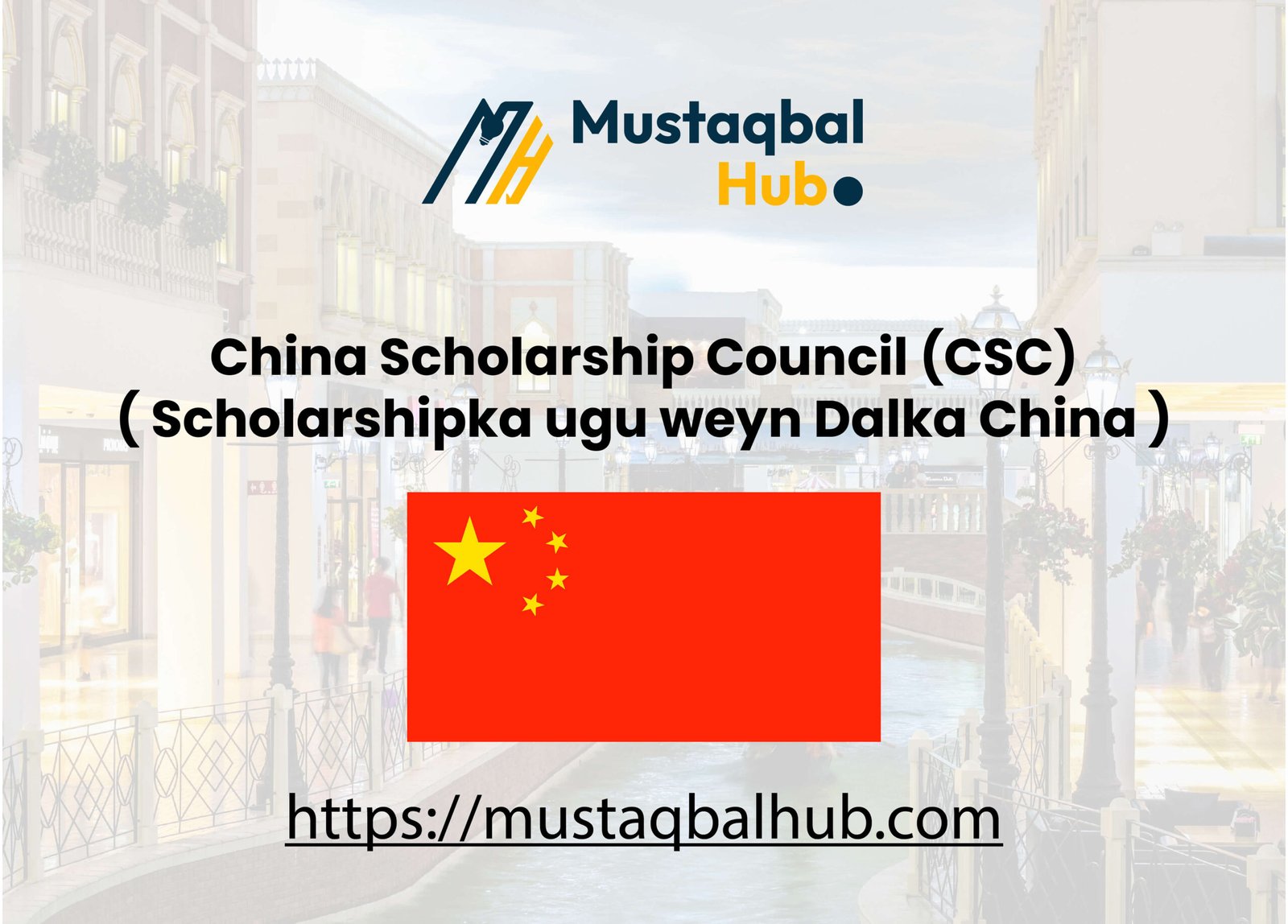 China Scholarship Council (CSC)